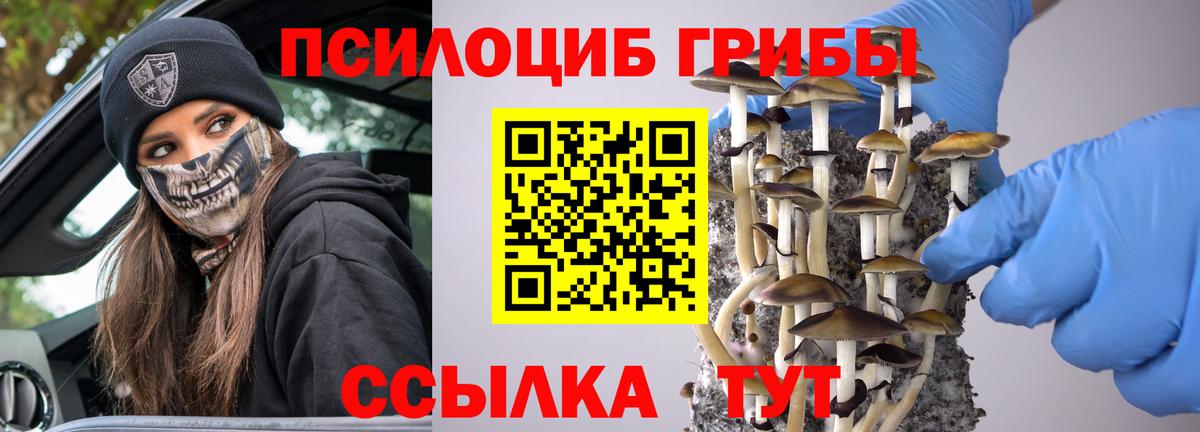 Галлюциногенные грибы Magic Shrooms  Вход с VPN  Саранск 